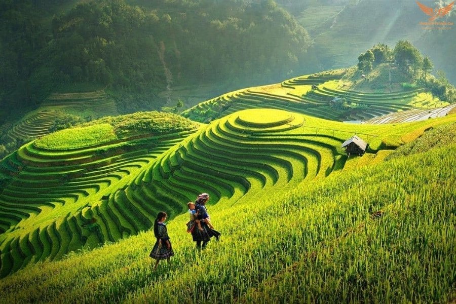 Hanoi-to-Sapa-Private-Car-Vetnam-Private-CAr (8) Hanoi to Sapa By Car - Vietnam Private Car