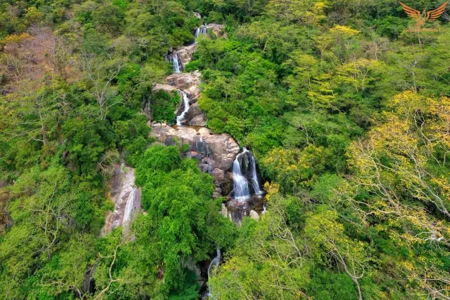 Dalat To Phan Rang By Private Car - Vietnam Private Car (4) Dalat To Phan Rang By Private Car - Vietnam Private Car