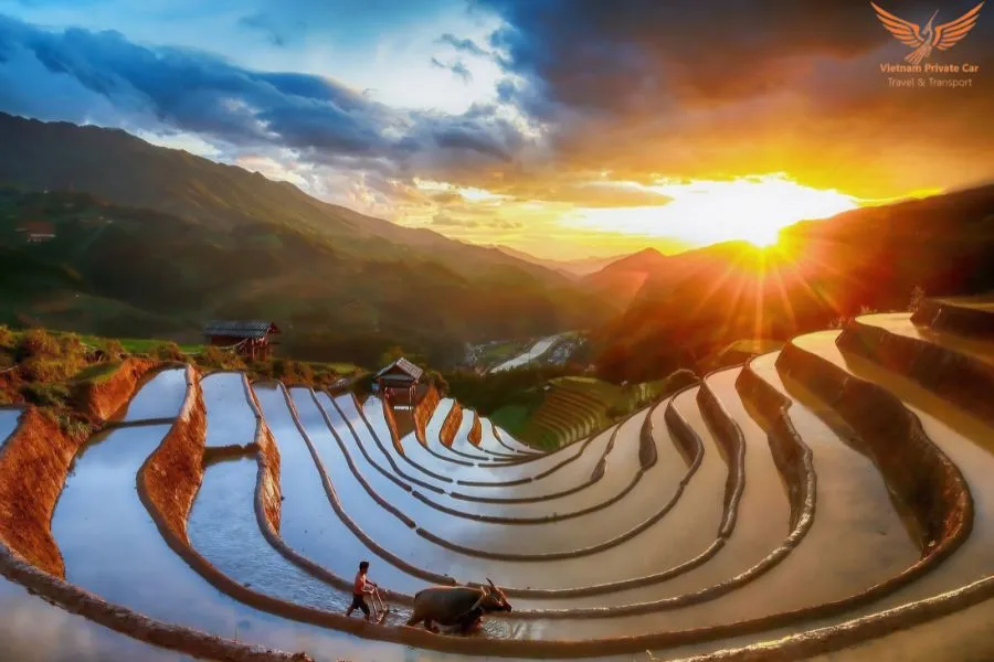 Halong To Mu Cang Chai Limousine - Vietnam Private Car (6) Halong Bay To Mu Cang Chai By Limousine - Vietnam Private Car